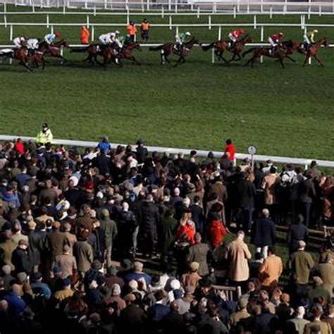 cheltenham tomorrow|what's on in cheltenham tomorrow.